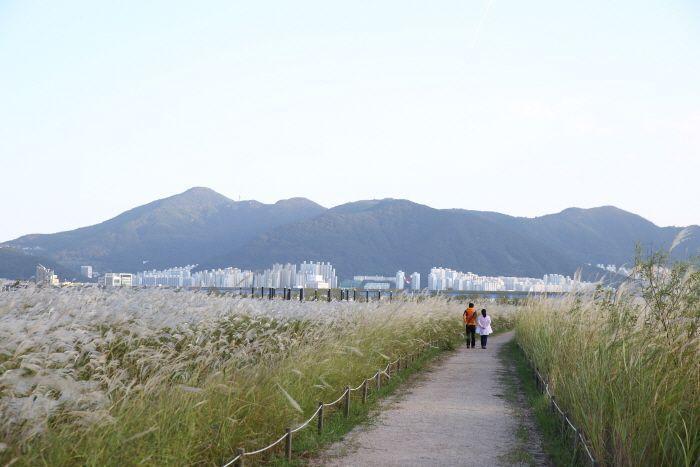 Different from your ordinary trip to Busan! 36 Busan attractions recommended