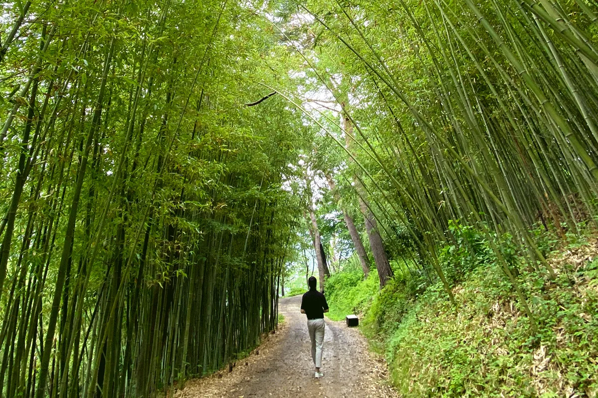 釜山自由行景點 釜山必去景點 推薦 2025