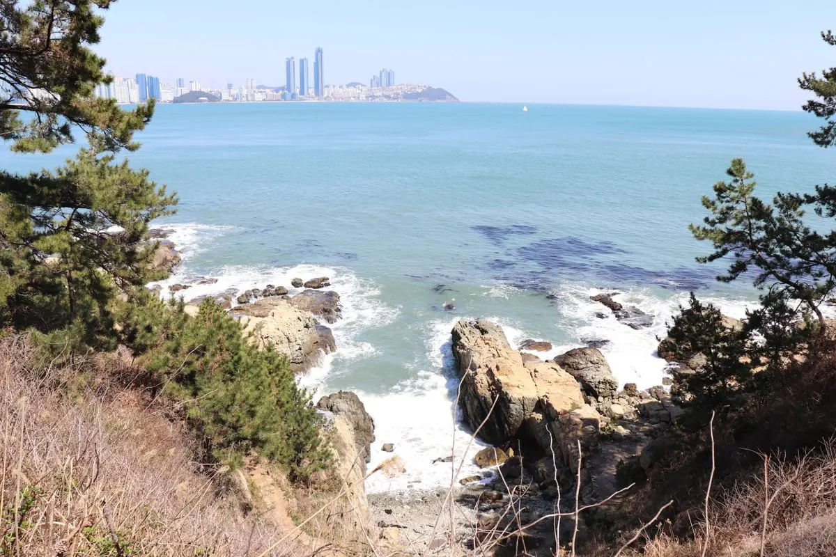 釜山自由行景點 釜山必去景點 推薦 2025