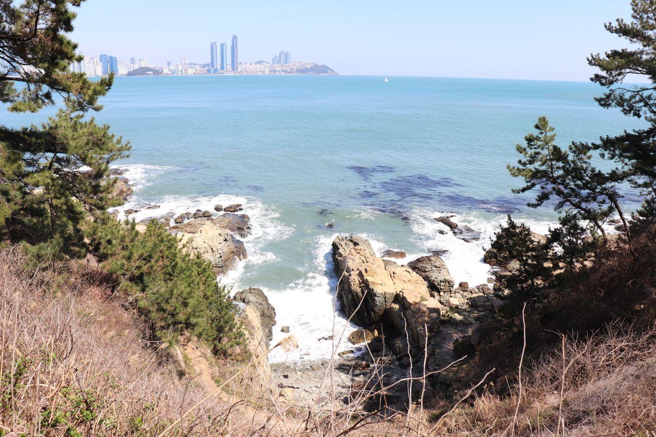 Different from your ordinary trip to Busan! 36 Busan attractions recommended