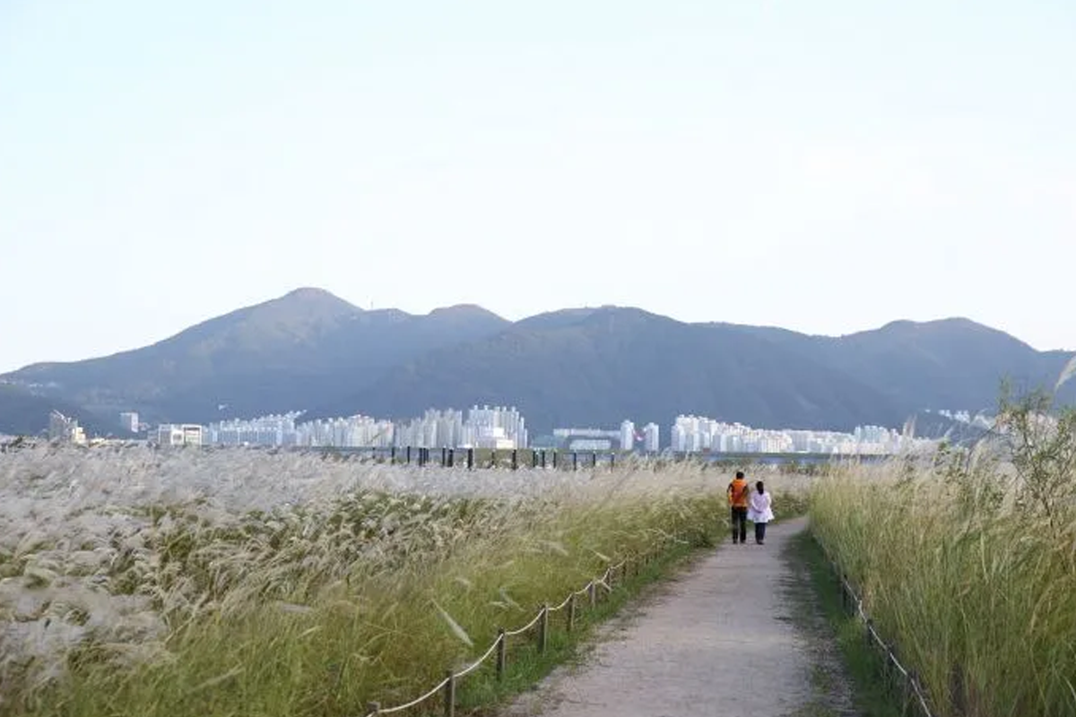 釜山自由行景點 釜山必去景點 推薦 2025