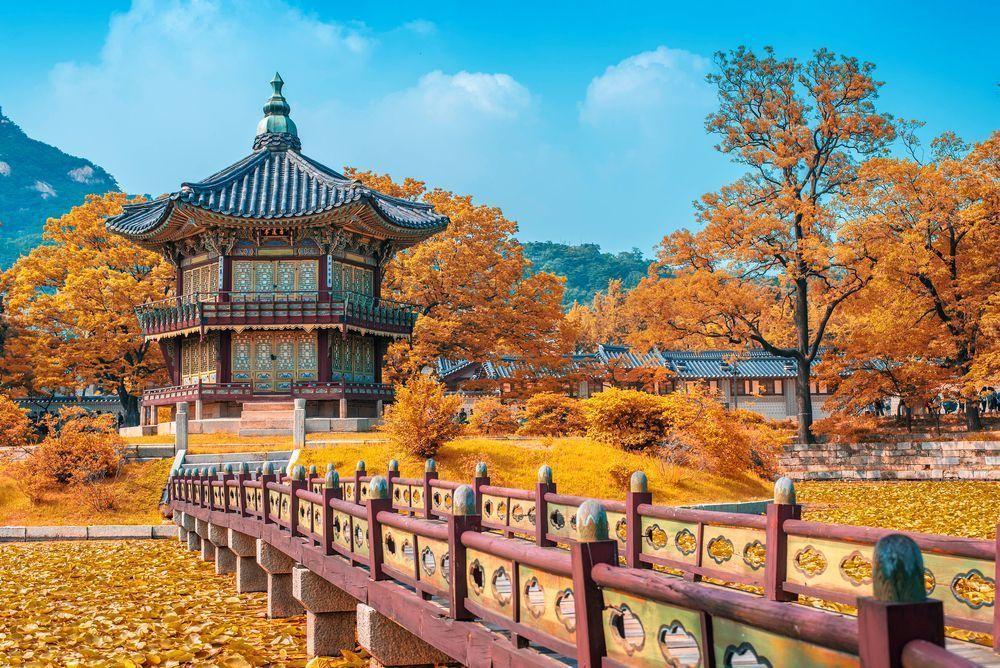 Insider's Guide and Tips for Gyeongbokgung and Seochon Village: Guide and tips completely by local insider! Discover places with no crowds around the most crowded Gyeongbokgung！