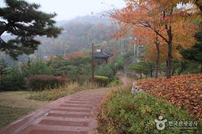 Insider's Guide and Tips for Gyeongbokgung and Seochon Village: Guide and tips completely by local insider! Discover places with no crowds around the most crowded Gyeongbokgung！
