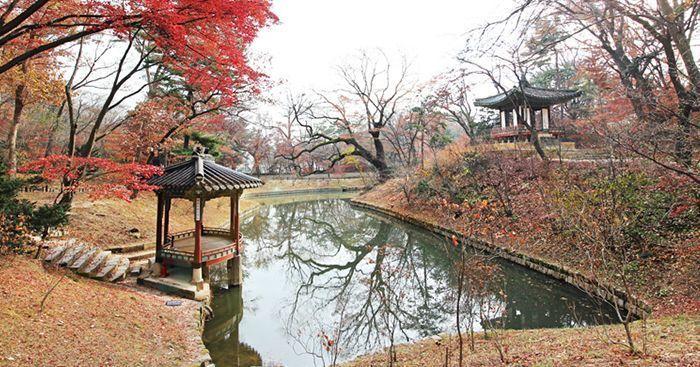 Creatrip The Secret Garden Of Changdeokgung Palace