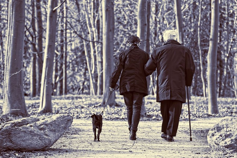 Two elderly individuals walking in the woods, representing the aging population in South Korea.