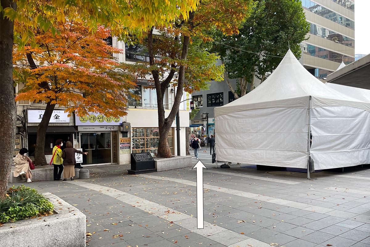 Scenic path through trees leading to Insadong K-Art Center, offering a pleasant walk for those heading to the workshop.