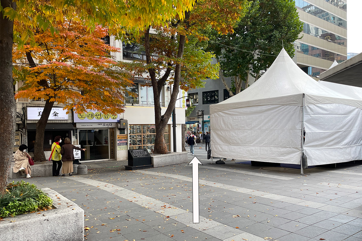 仁寺洞街上的繁忙時光，秋天的樹葉渲染出舒適宜人的遊覽氛圍