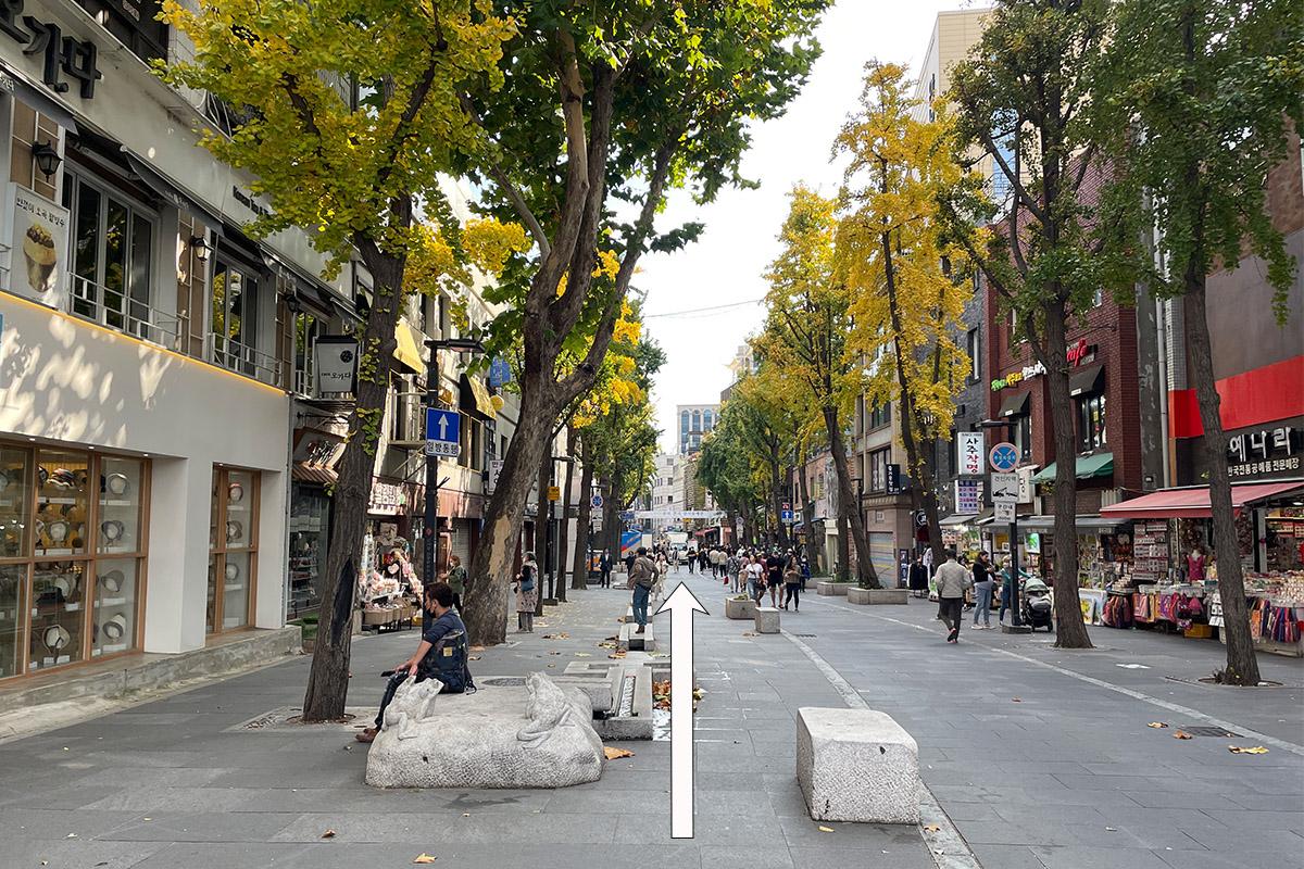 Walking down Insadong main street lined with shops and autumn trees in Seoul.