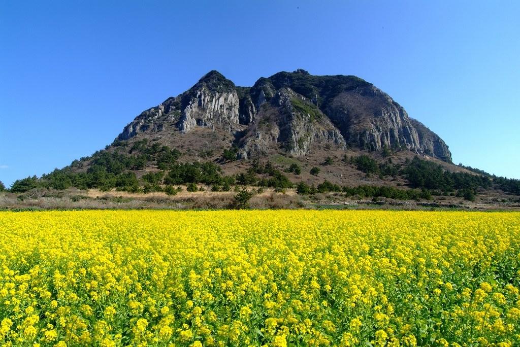 趣吧 x Creatrip：濟州島四季旅遊