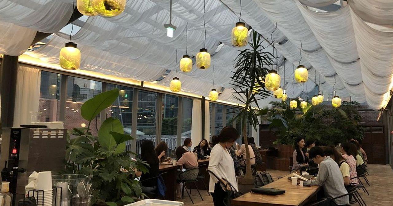 Chic and modern cafe in Korea with stylish decor and plenty of plants.