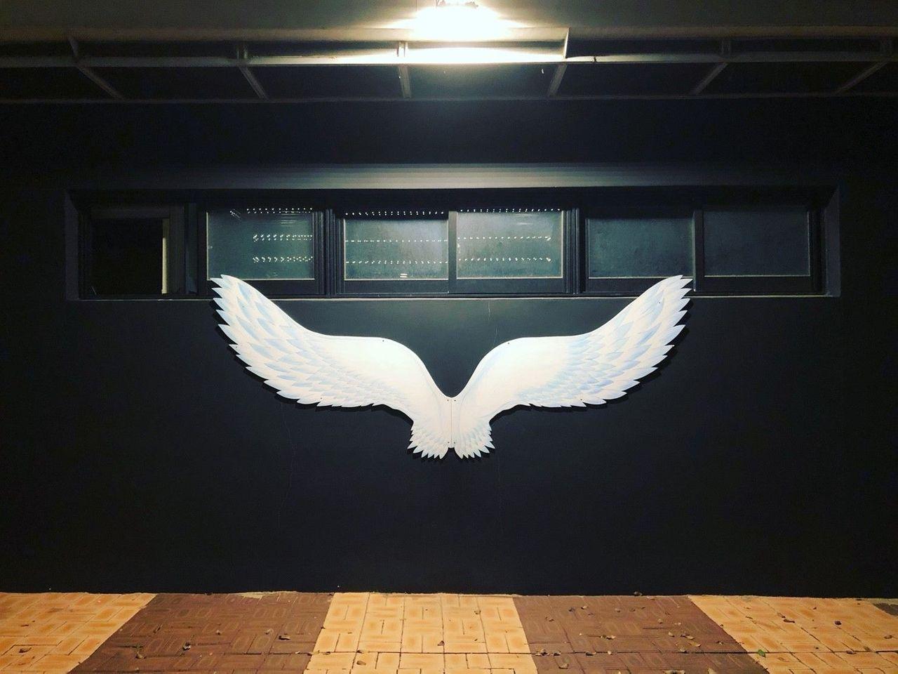 Daegu tour, Daegu tourist attraction, Daegu attraction recommendations, Daegu travel, daegu mustgo