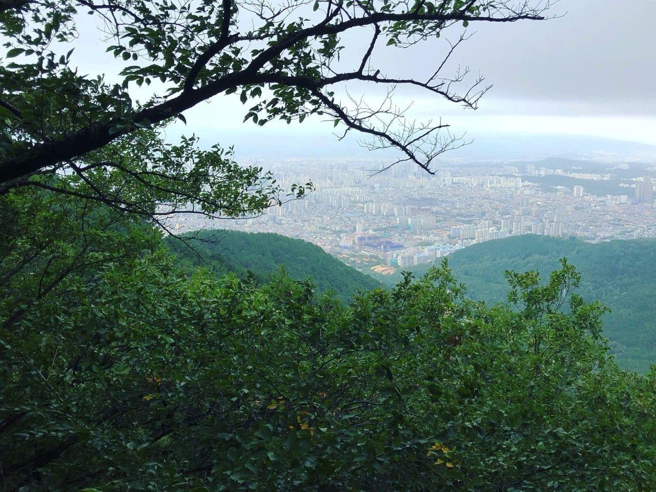 Daegu tour, Daegu tourist attraction, Daegu attraction recommendations, Daegu travel, daegu mustgo