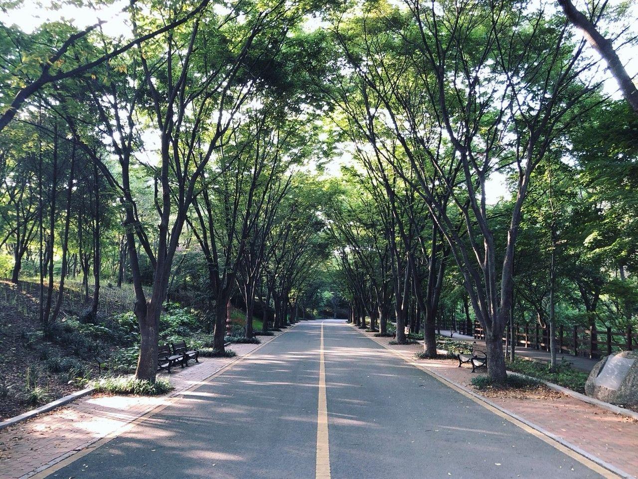 Daegu tour, Daegu tourist attraction, Daegu attraction recommendations, Daegu travel, daegu mustgo