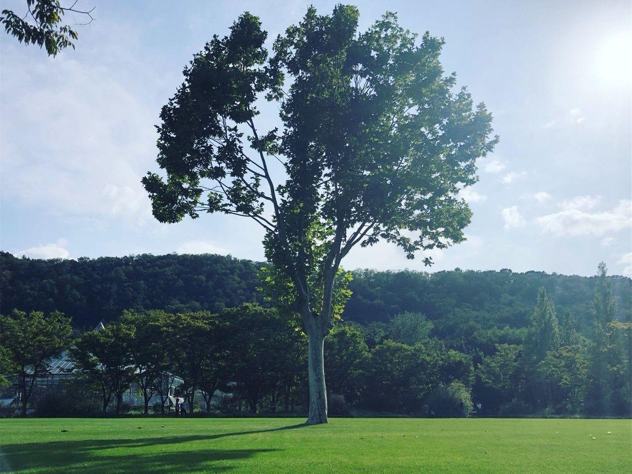 Daegu tour, Daegu tourist attraction, Daegu attraction recommendations, Daegu travel, daegu mustgo