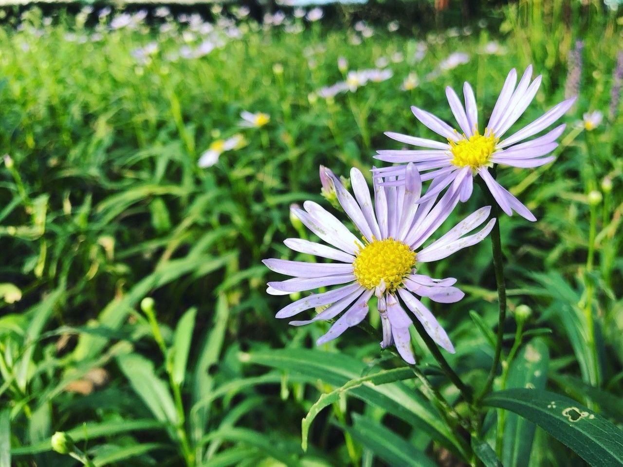 Daegu tour, Daegu tourist attraction, Daegu attraction recommendations, Daegu travel, daegu mustgo