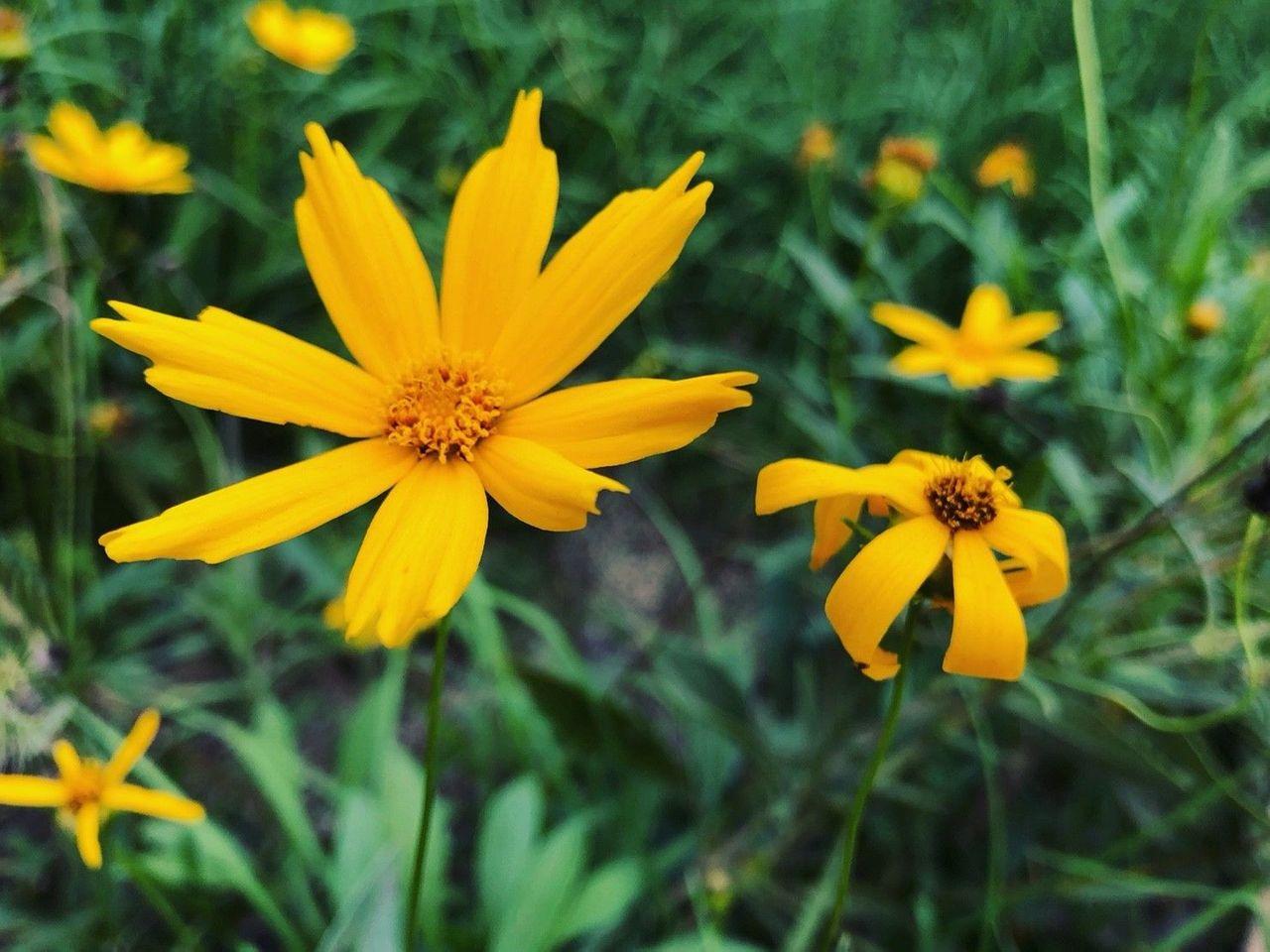 Daegu tour, Daegu tourist attraction, Daegu attraction recommendations, Daegu travel, daegu mustgo