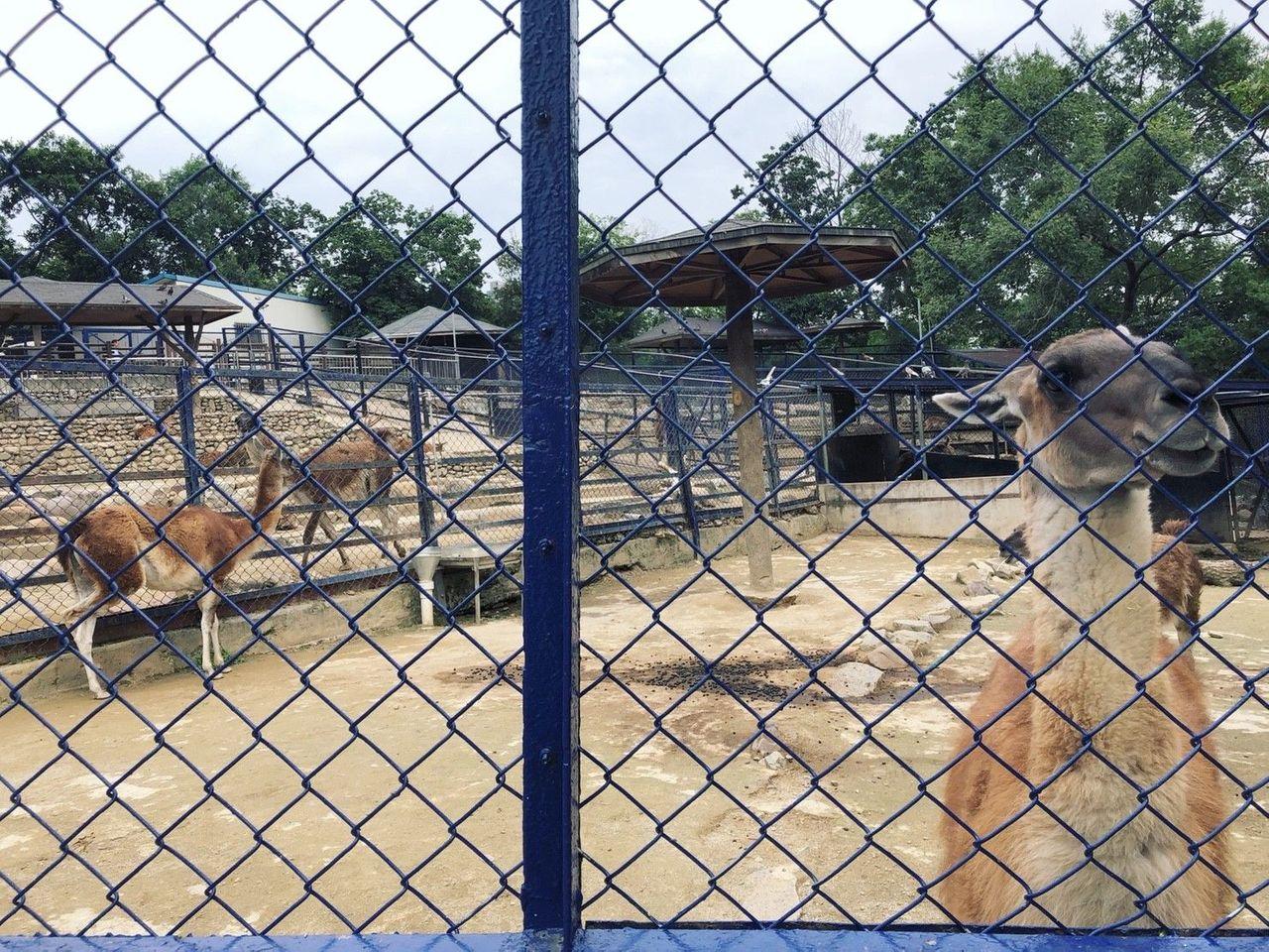 Daegu tour, Daegu tourist attraction, Daegu attraction recommendations, Daegu travel, daegu mustgo