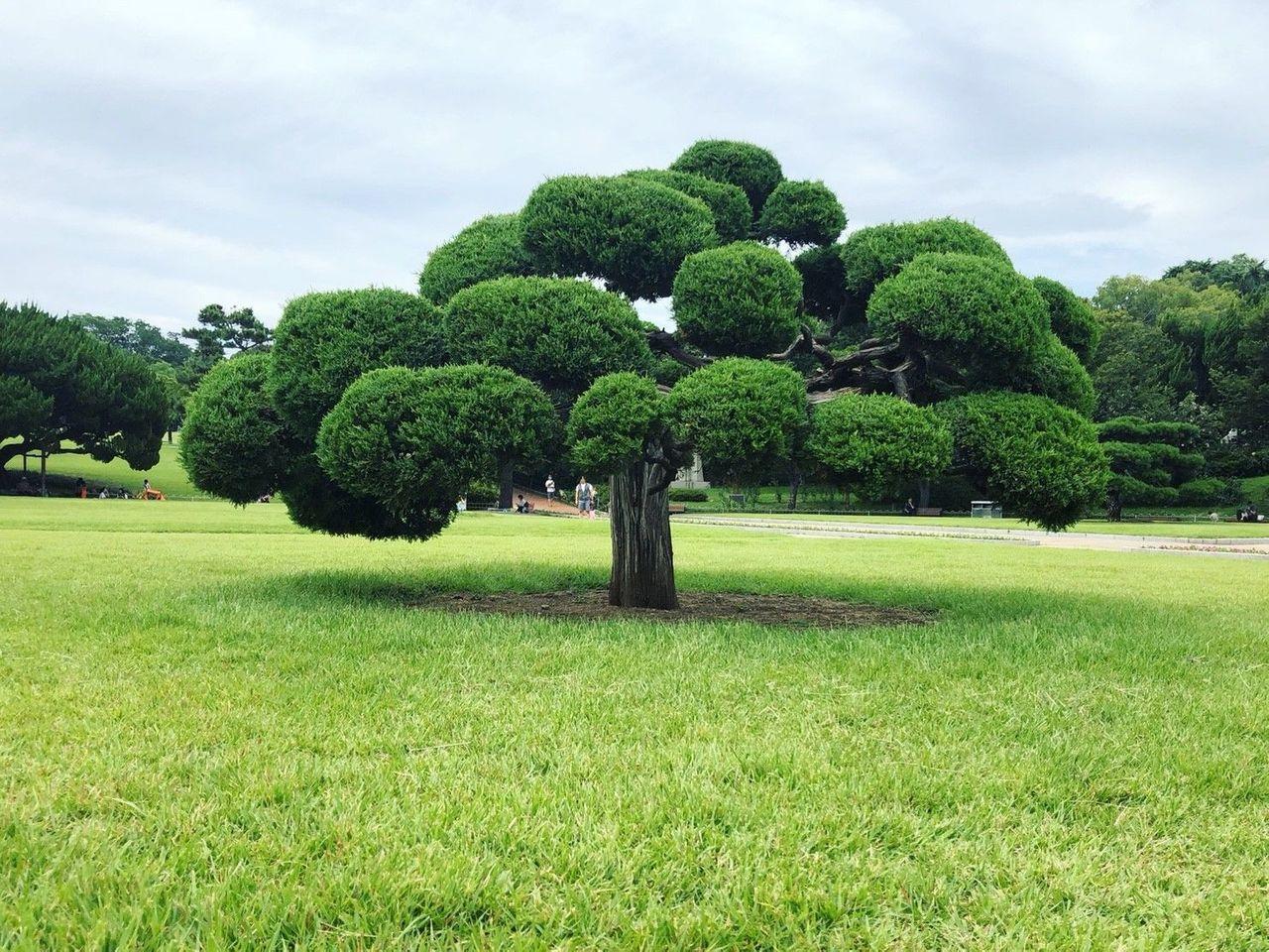 Daegu tour, Daegu tourist attraction, Daegu attraction recommendations, Daegu travel, daegu mustgo