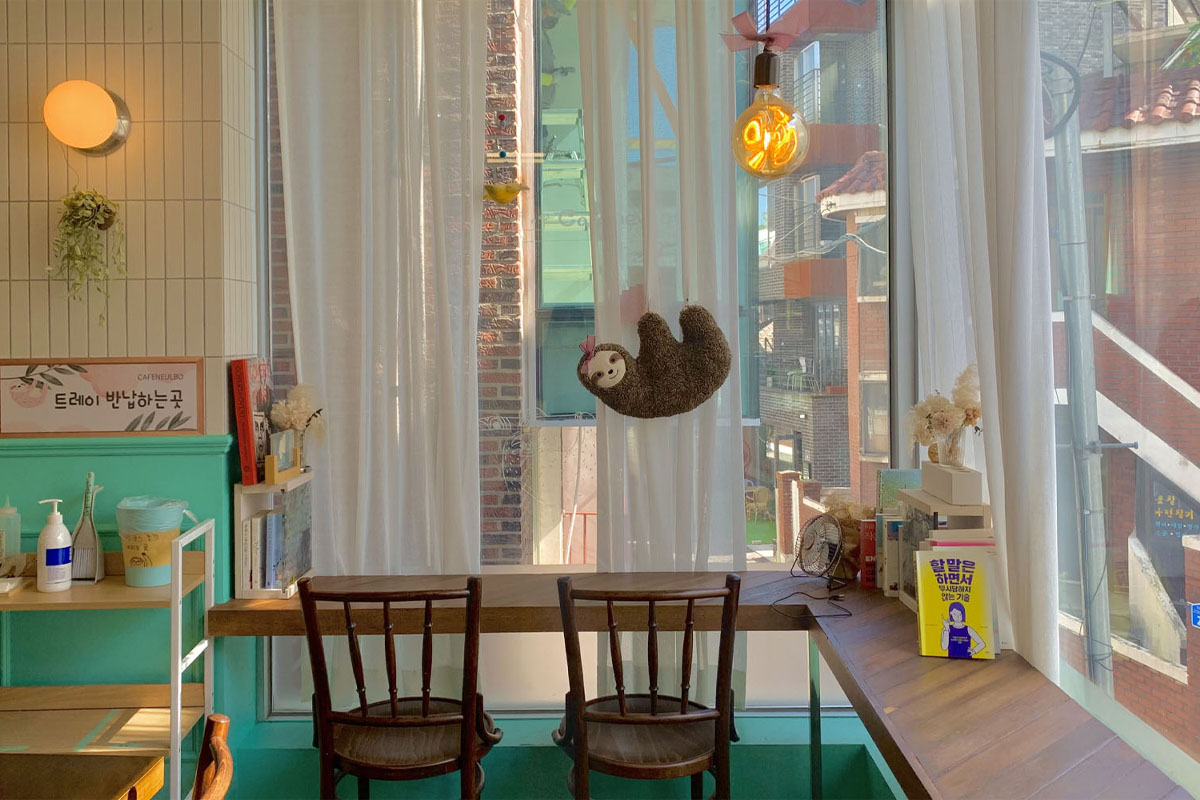 창문 근처에 걸려 있는 귀여운 나무늘보 장식물과 따스한 햇살이 들어오는 카페 내부의 아늑한 분위기, 커튼과 나무 의자가 어우러진 카페의 바로 공간.