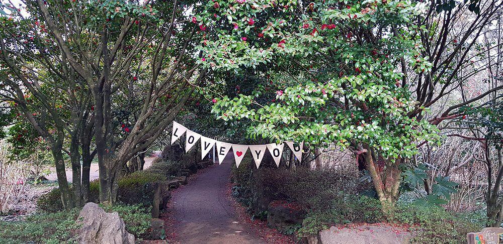 浪漫的山茶花小徑，以愛意為主題的氛圍非常適合情侶遊覽於濟州島山茶花之丘