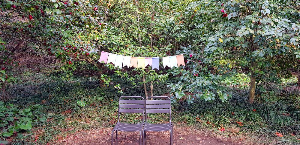 情侶在濟州島山茶花之丘樹林間留下浪漫回憶，擺拍的角落充滿情感與甜蜜