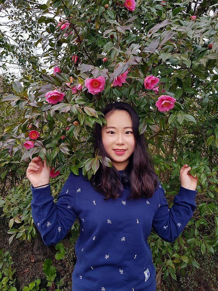 用濃密盛開的山茶花點綴的綠葉，讓濟州島的山茶花之丘成為絕佳的攝影背景