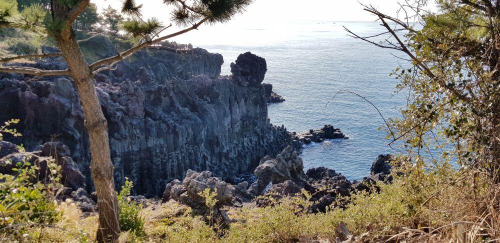 透過樹影看的柱狀節理海岸，黃昏時分，陽光灑落在玄武岩石柱和寧靜的海面上，形成迷人的光影效果