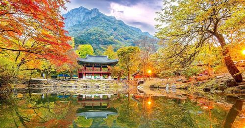 韓国地方旅行、韓国国立公園、智異山、周王山、雪岳山、韓国秋、韓国紅葉、五台山、内蔵山、伽耶山