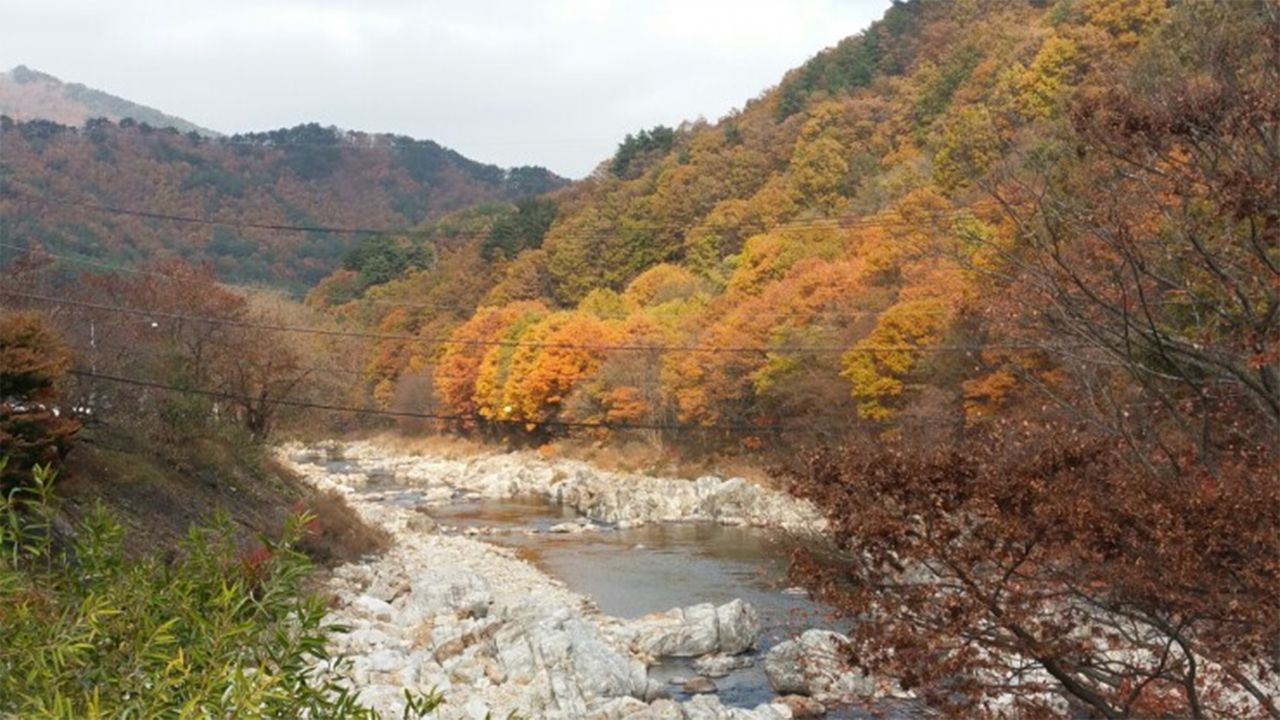 渓谷の紅葉景色 - 韓国、智異山国立公園の秋の風景