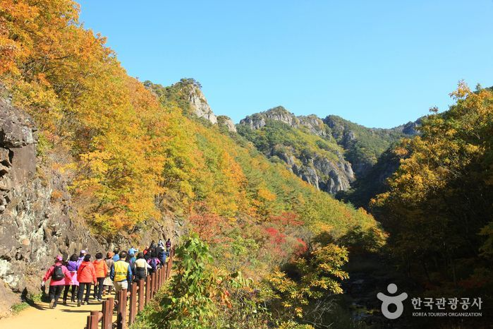 韓国地方旅行、韓国国立公園、智異山、周王山、雪岳山、韓国秋、韓国紅葉、五台山