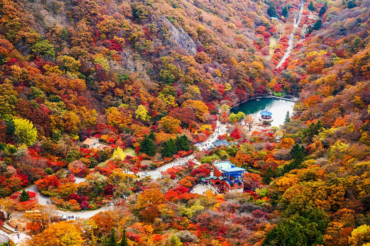 2025年 韓國賞楓推薦 賞楓一日遊 優惠