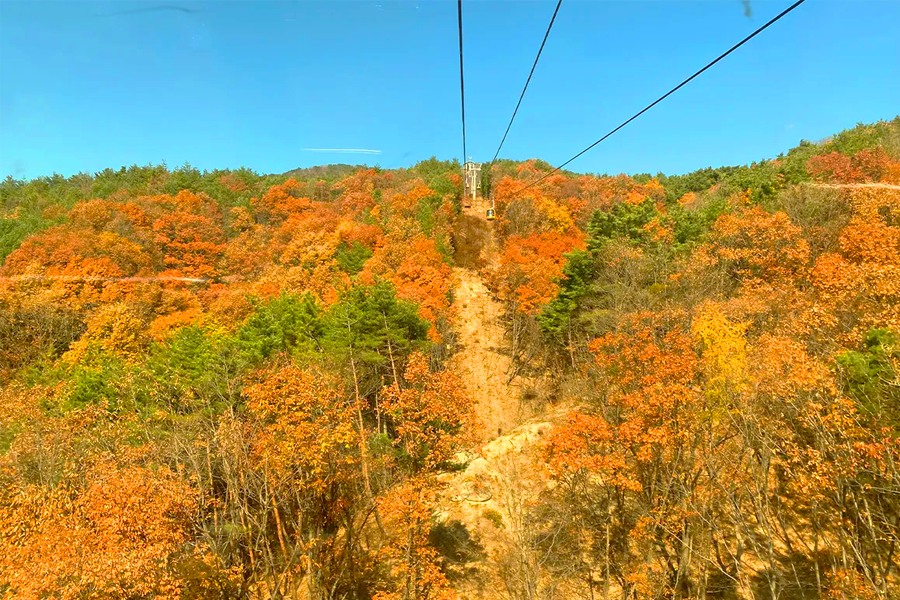 2025年 韓國賞楓推薦 賞楓一日遊 優惠