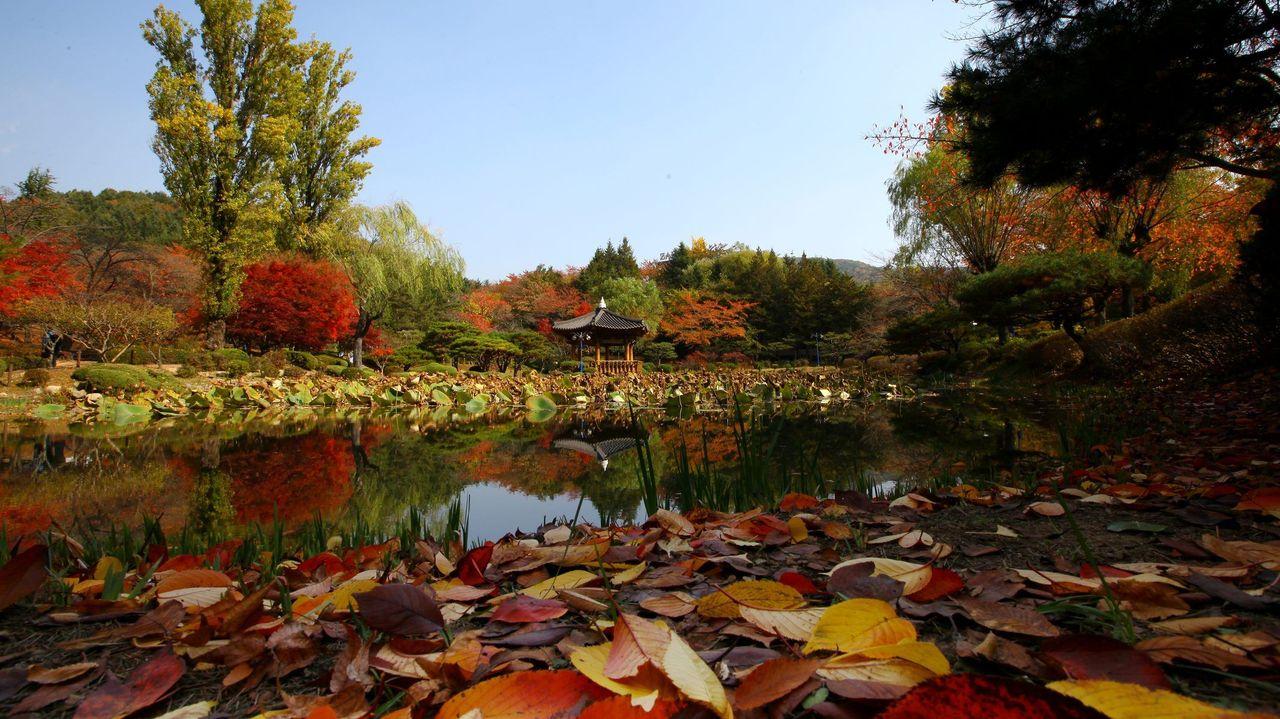 韓国地方旅行、韓国国立公園、智異山、周王山、雪岳山、韓国秋、韓国紅葉、五台山、内蔵山