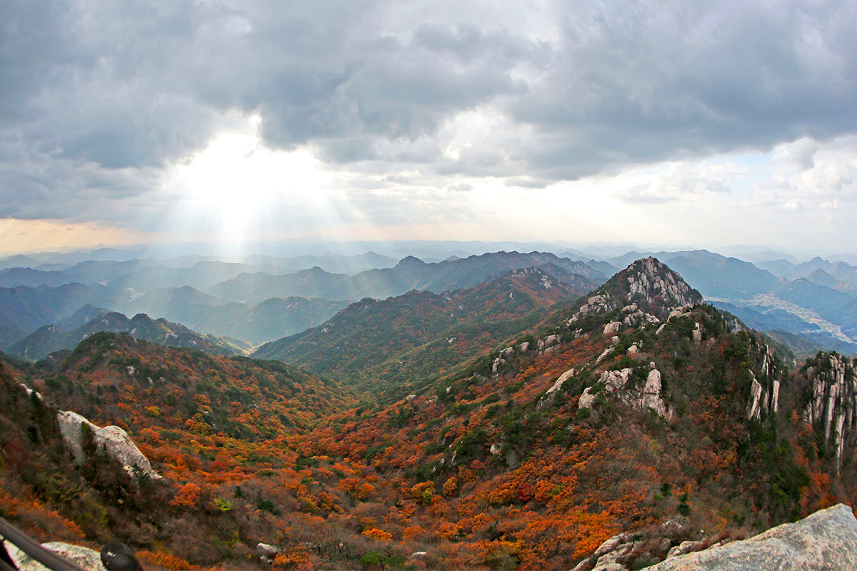 2025年 韓國賞楓推薦 賞楓一日遊 優惠