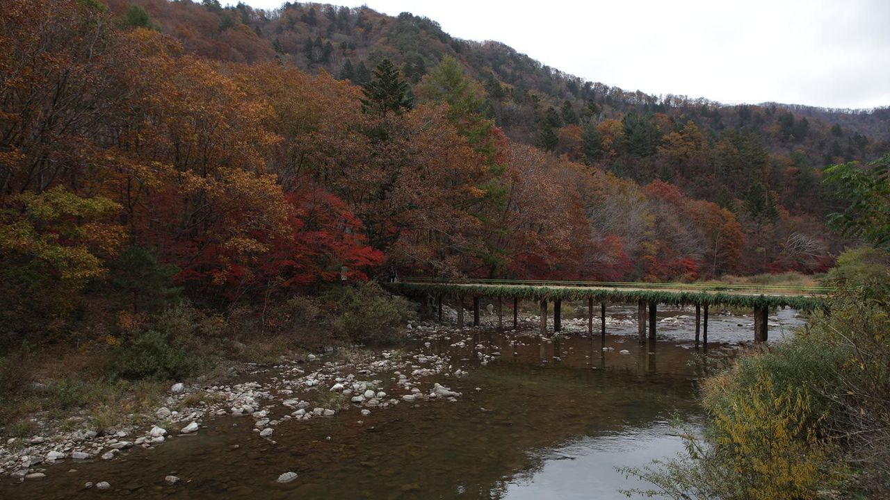韓国地方旅行、韓国国立公園、智異山、周王山、雪岳山、韓国秋、韓国紅葉、五台山
