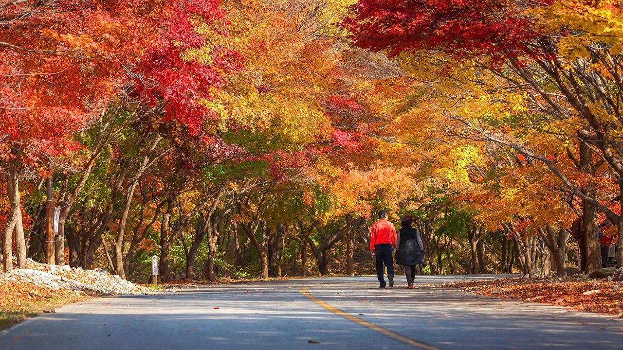 韓国地方旅行、韓国国立公園、智異山、周王山、雪岳山、韓国秋、韓国紅葉、五台山、内蔵山