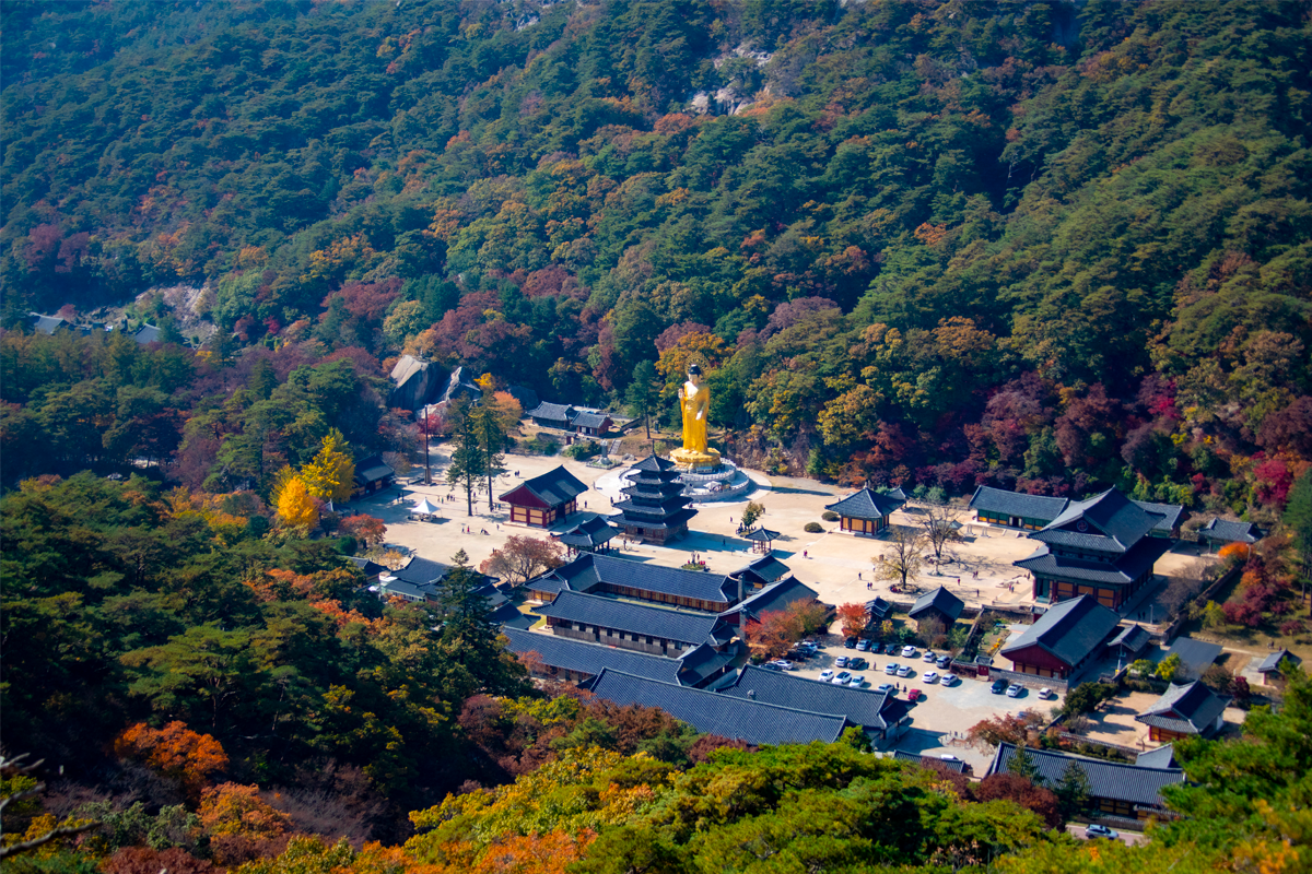 2025年 韓國賞楓推薦 賞楓一日遊 優惠