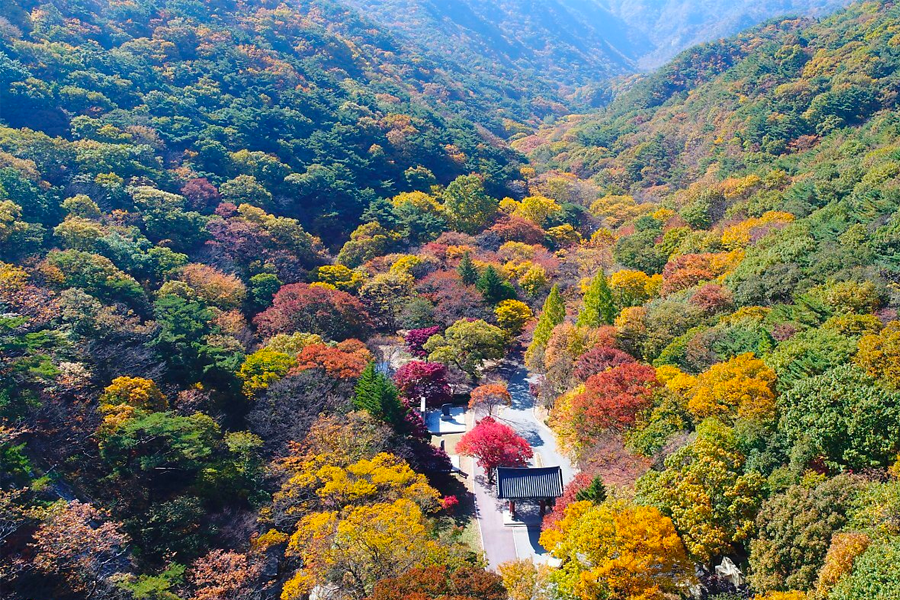 2025年 韓國賞楓推薦 賞楓一日遊 優惠