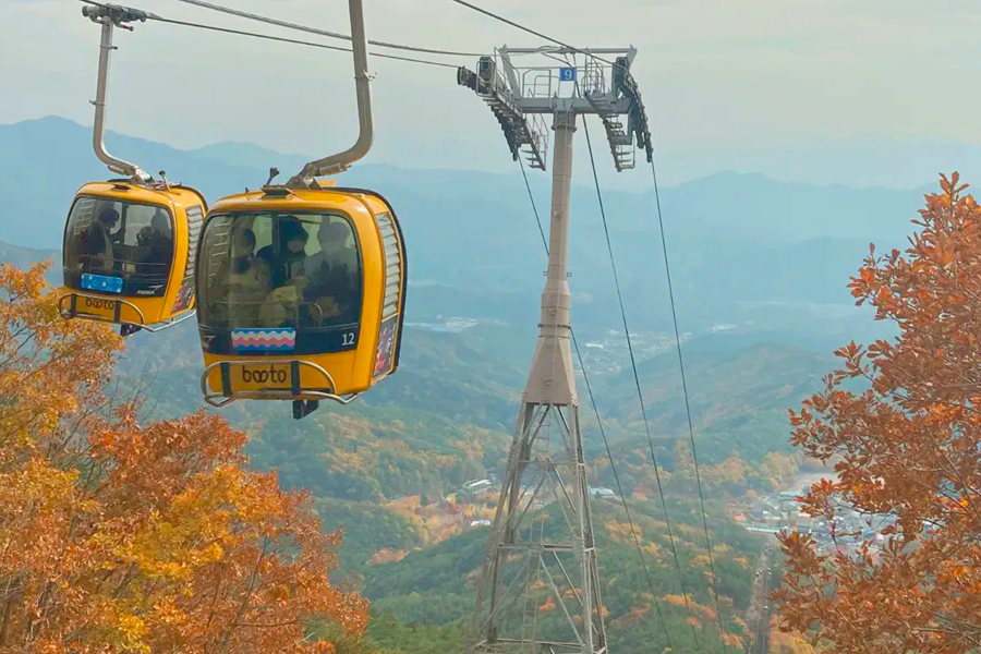 2025年 韓國賞楓推薦 賞楓一日遊 優惠