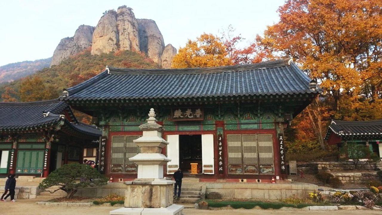 韓国地方旅行、韓国国立公園、智異山、周王山、雪岳山、韓国秋、韓国紅葉、五台山
