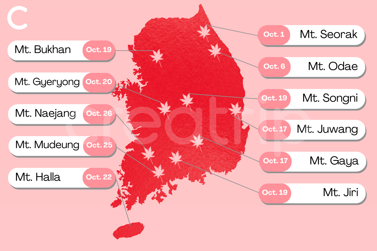 Creatrip Best Fall Foliage Spots In Korea 2023 Guide Korea Travel creatrip-best-fall-foliage-spots-in-korea-2023-guide-korea-travel