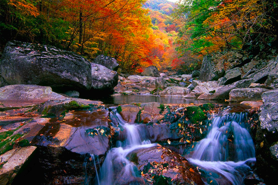 2025年 韓國賞楓推薦 賞楓一日遊 優惠