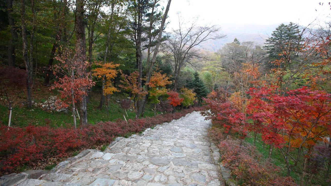韓国地方旅行、韓国国立公園、智異山、周王山、雪岳山、韓国秋、韓国紅葉、五台山