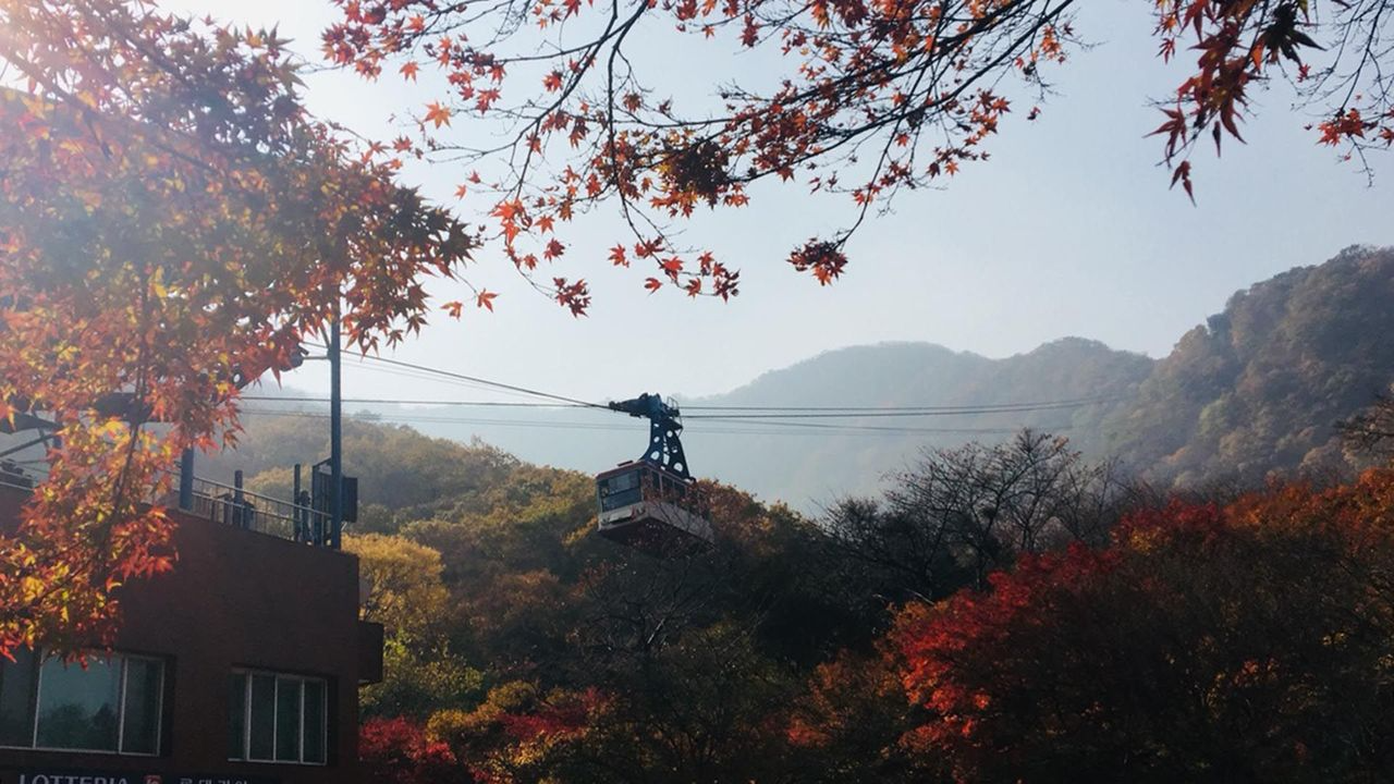 韓国地方旅行、韓国国立公園、智異山、周王山、雪岳山、韓国秋、韓国紅葉、五台山、内蔵山