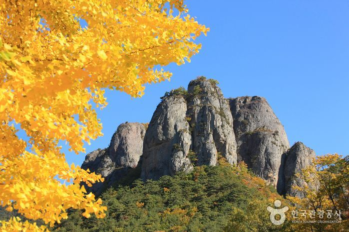 韓国地方旅行、韓国国立公園、智異山、周王山、雪岳山、韓国秋、韓国紅葉、五台山