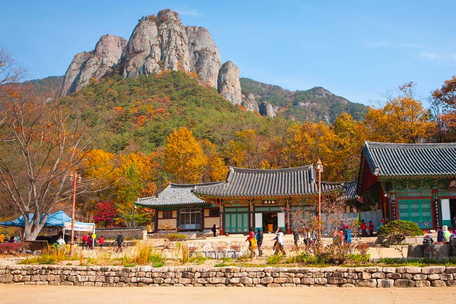 2025年 韓國賞楓推薦 賞楓一日遊 優惠