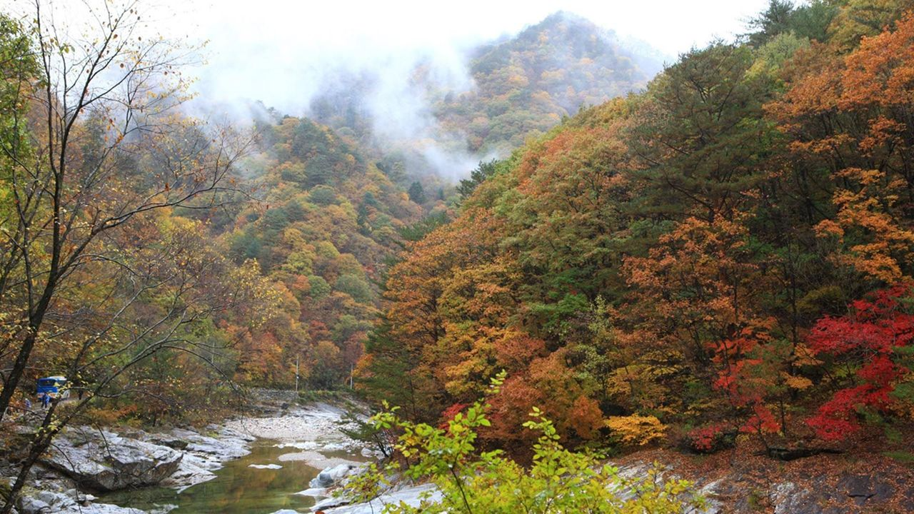 韓国地方旅行、韓国国立公園、智異山、周王山、雪岳山、韓国秋、韓国紅葉、五台山、内蔵山