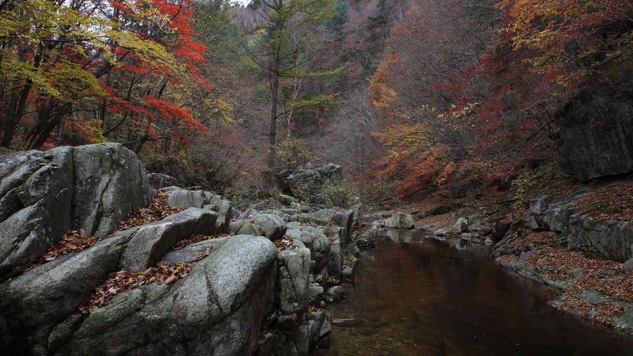 韓国地方旅行、韓国国立公園、智異山、周王山、雪岳山、韓国秋、韓国紅葉、五台山