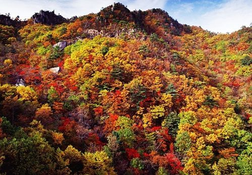 韓国地方旅行、韓国国立公園、智異山、周王山、雪岳山、韓国秋、韓国紅葉、五台山、内蔵山