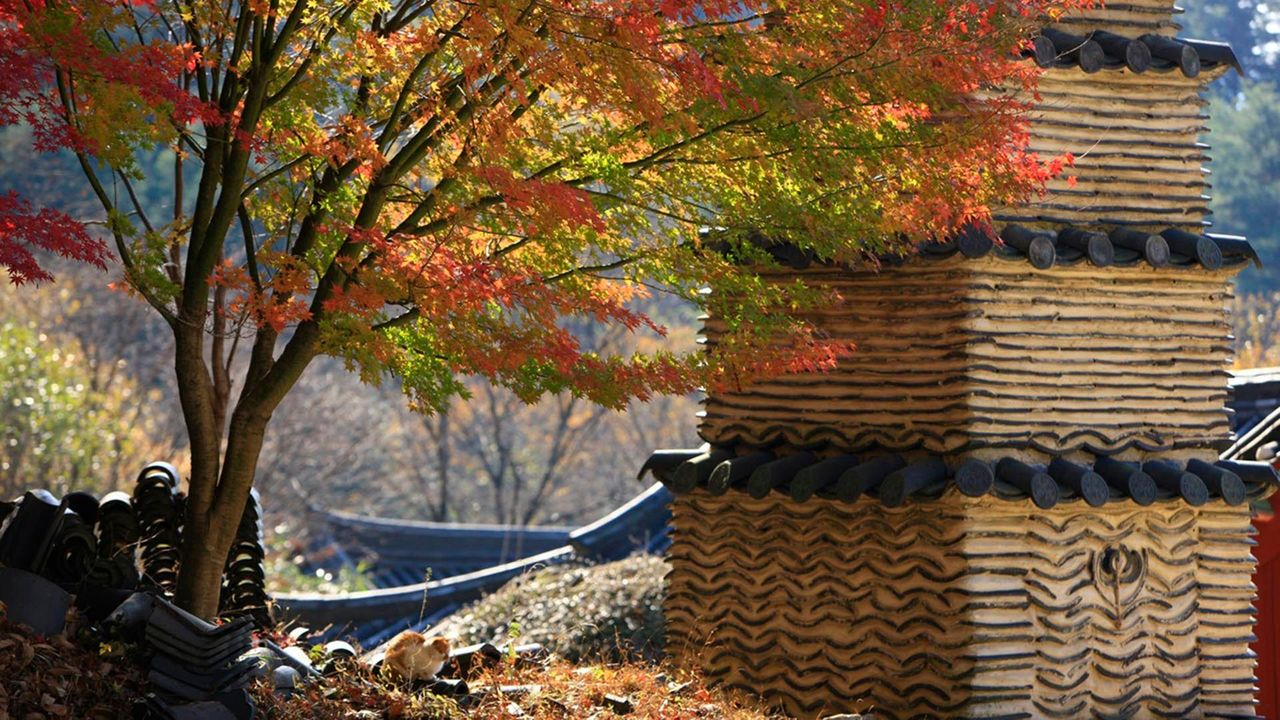 韓国地方旅行、韓国国立公園、智異山、周王山、雪岳山、韓国秋、韓国紅葉